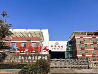 Trung Quốc Wuhan Linmei Head Plate Co., Ltd.