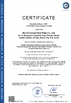 Trung Quốc Wuhan Linmei Head Plate Co., Ltd. Chứng chỉ